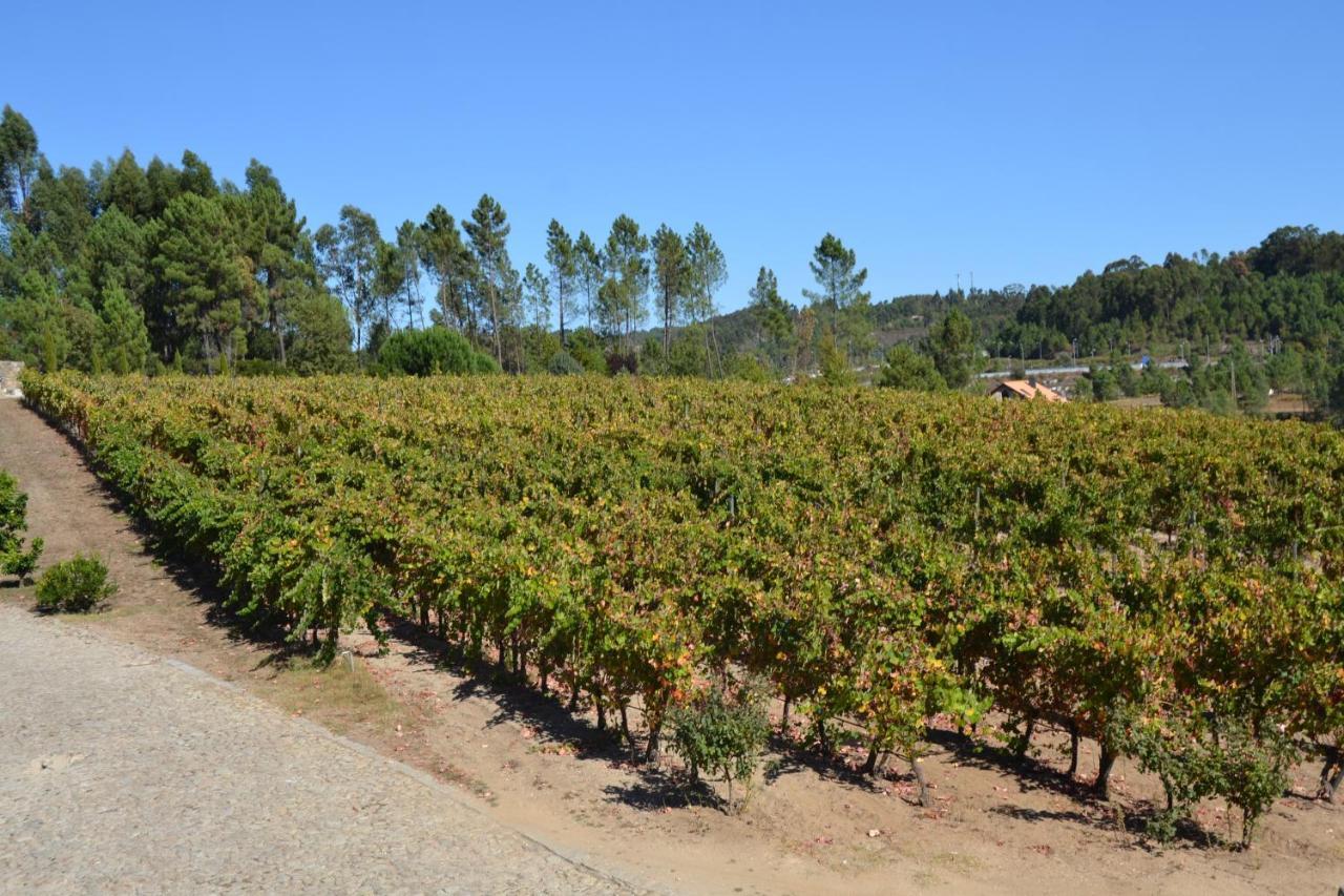 Quinta Do Medronheiro Rural Landhuis *
